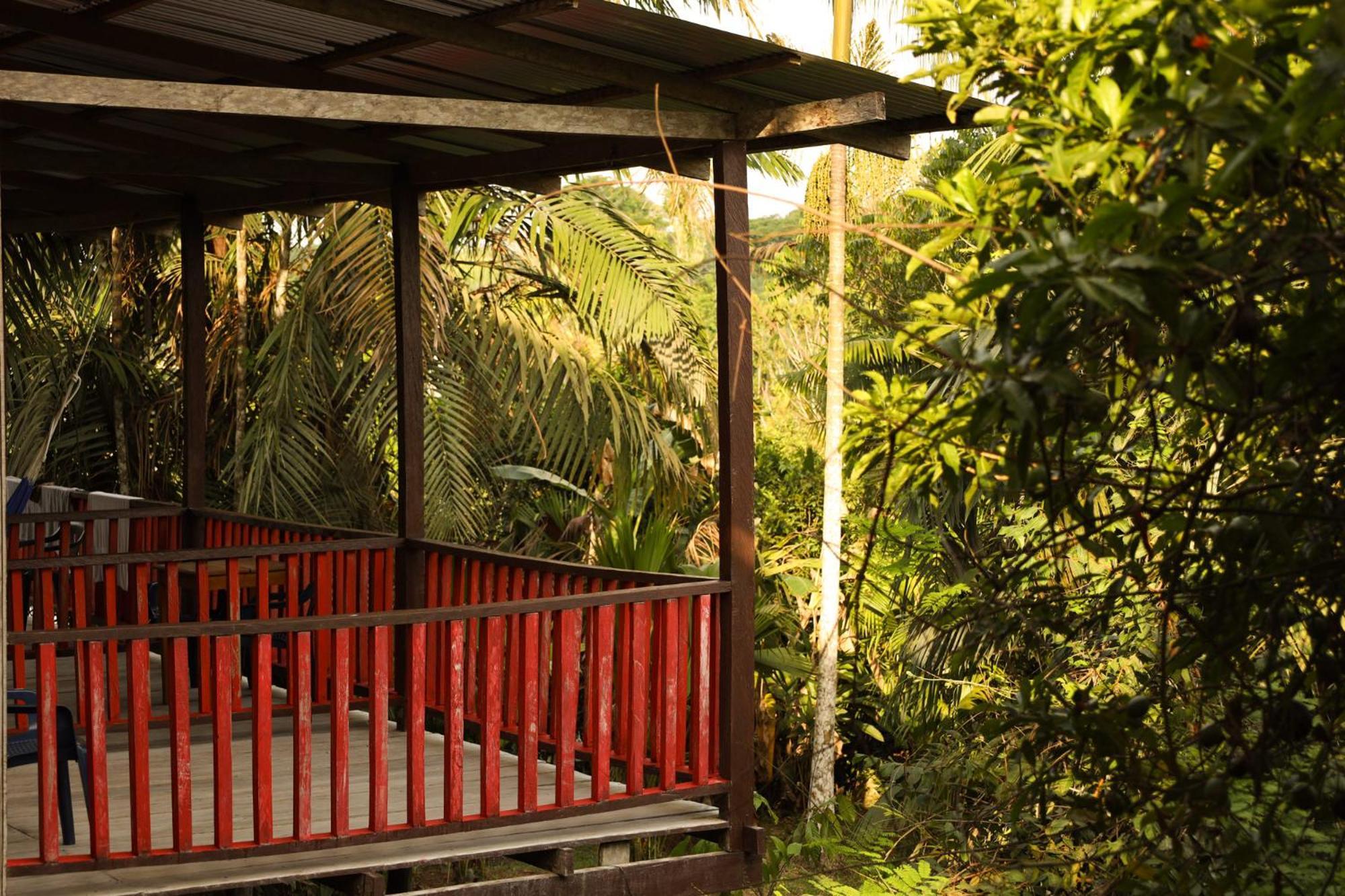 ホテル La Ceiba, Amazonas レティシア エクステリア 写真