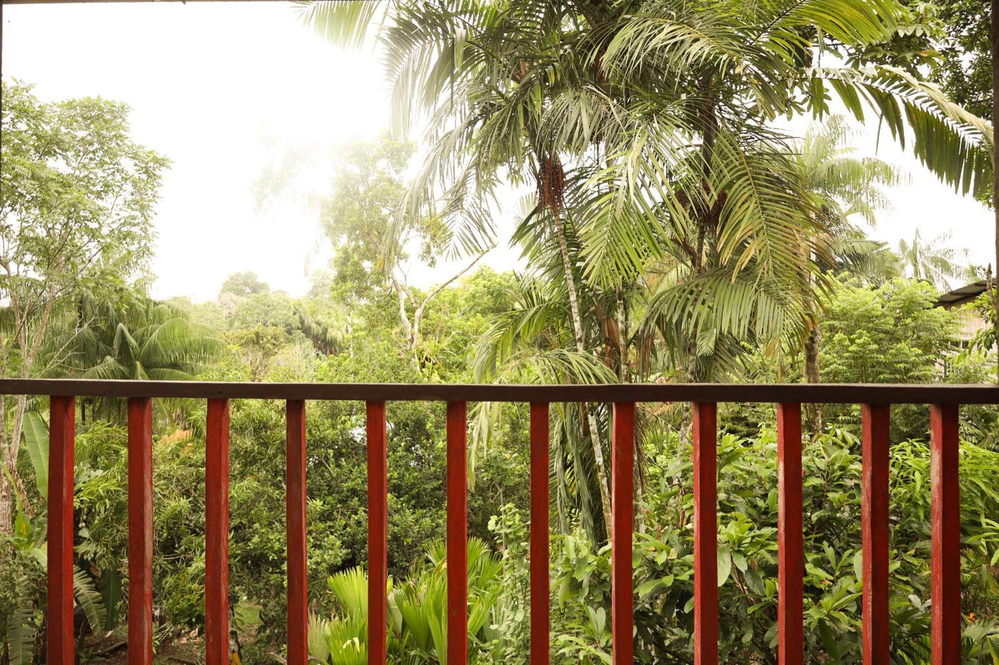 ホテル La Ceiba, Amazonas レティシア エクステリア 写真